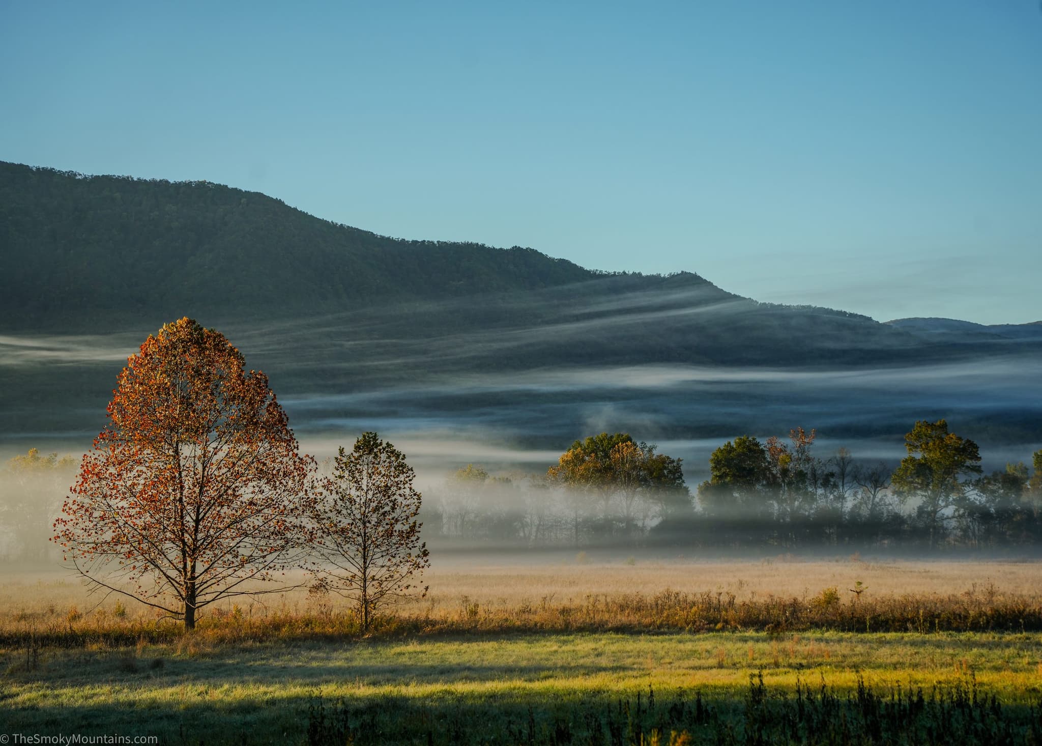 Fog over the fields of Cades Cove on a fall morning