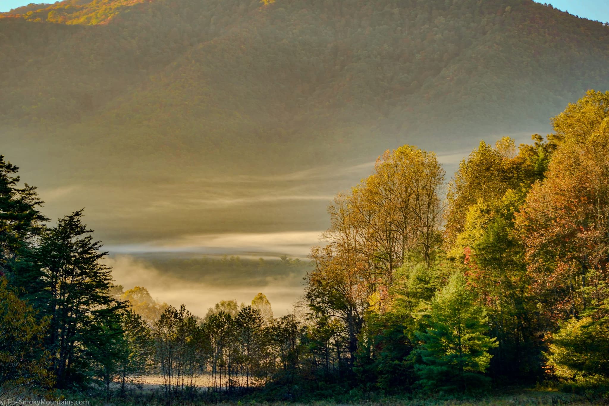 Low mist and fall color in Cades Cove at sunrise