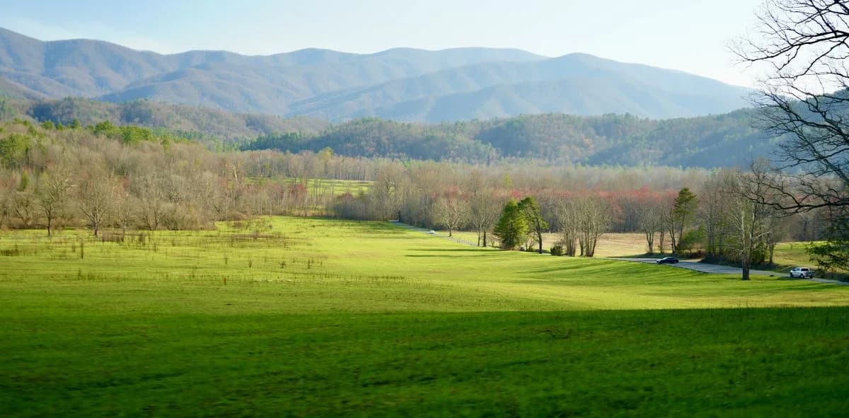 Cades Cove Guide: How to Beat the Traffic and Still See the Best Parts