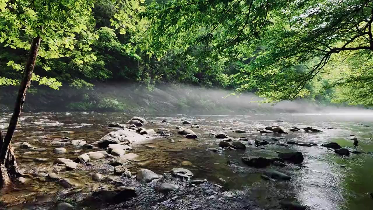 Scenic Smoky Mountains view
